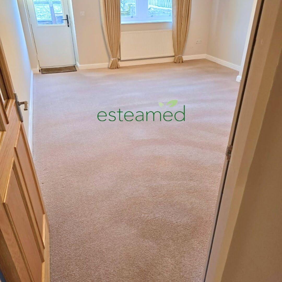 End of tenancy cleaning result — fresh clean carpet in a living room, professionally deep cleaned for inventory inspection