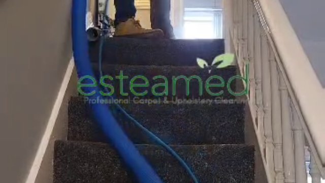 Deep Carpet Clean — Residential Property