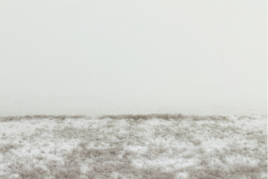 carpet cleaning leeds