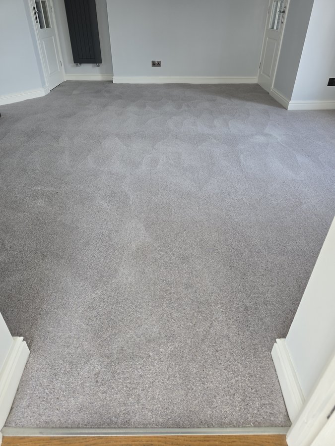Freshly cleaned carpet in a York living room